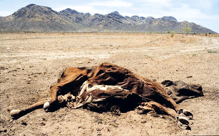 La mitad de México en sequía extrema