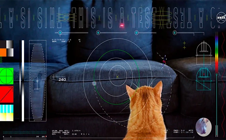 Desde el espacio la Tierra recibe video del gato Taters