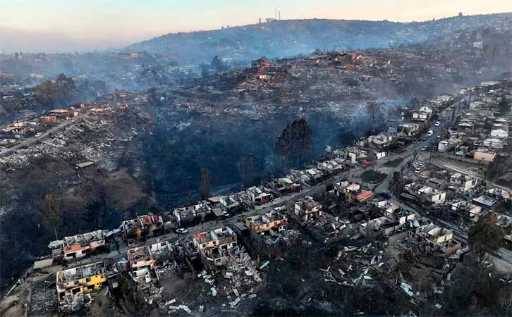 Los intereses detrás de los incendios en Chile: monocultivo forestal y negocios inmobiliarios