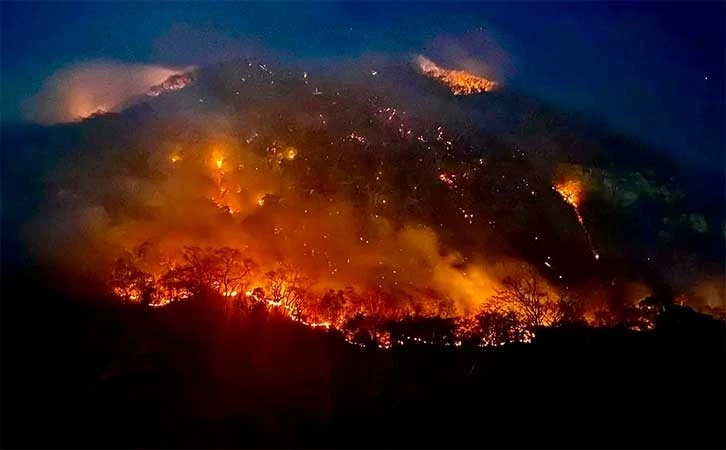 Arde México con 667 incendios forestales durante 2024