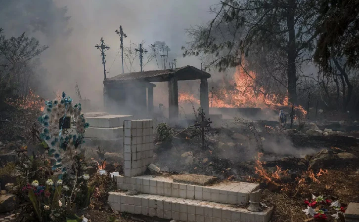 Pérdida de hectáreas de bosque aumenta por incendios forestales