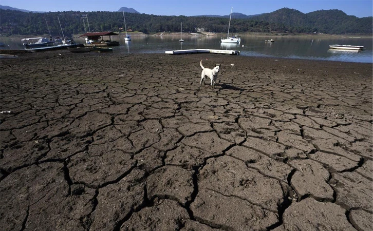 Sequía en México alcanza niveles críticos: BBVA