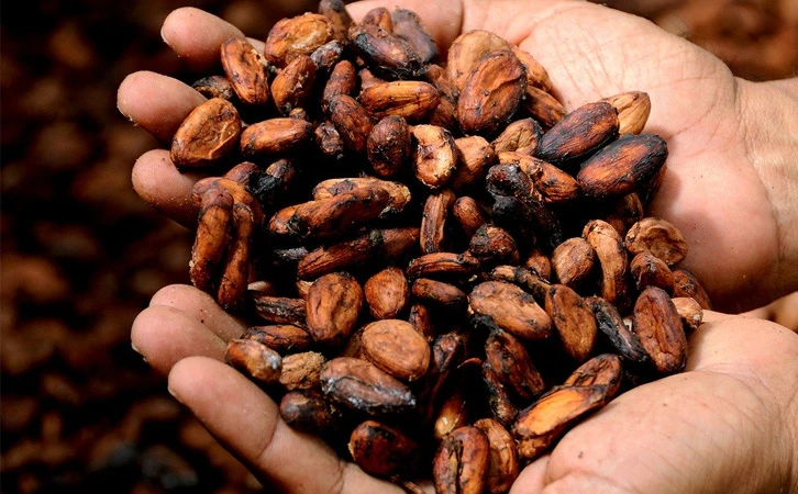 Tendencia del mercado futuro del cacao