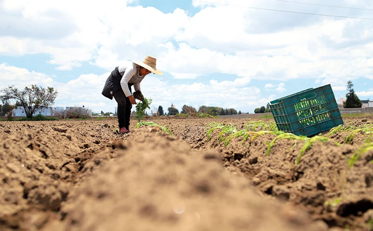 Puebla enfrenta una severa sequía