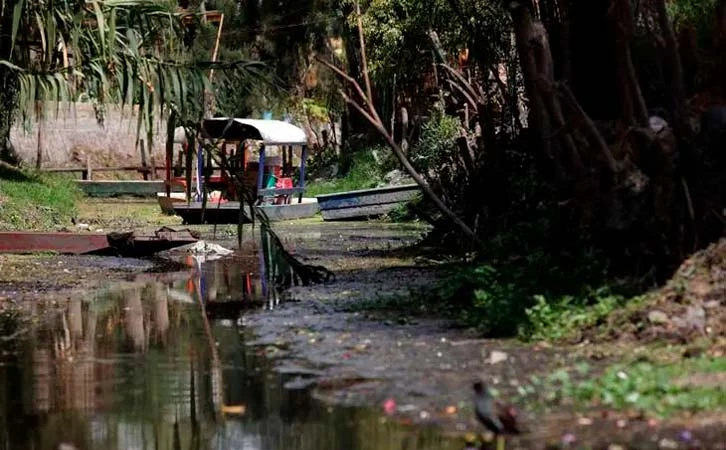 Amenaza contaminación chinampas y canales de Xochimilco