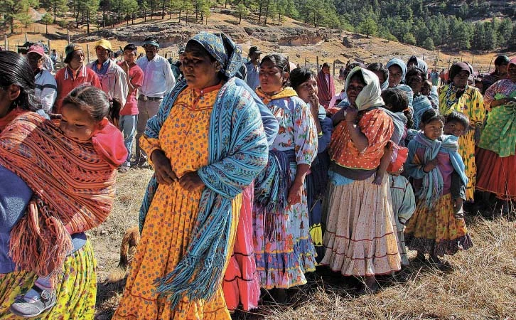 Reconoce Senado derechos de pueblos indígenas y afromexicanos