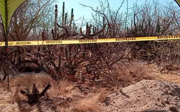 Colectivo encuentra fosas clandestinas en Baja California Sur