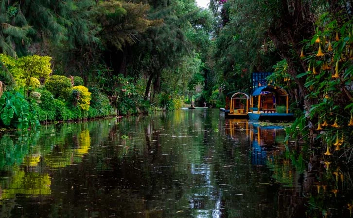 Congreso pide apoyo para zona agrícola de Xochimilco afectada por lluvias