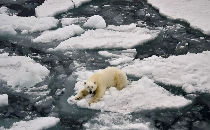 En 2027, primer día sin hielo en el océano Ártico