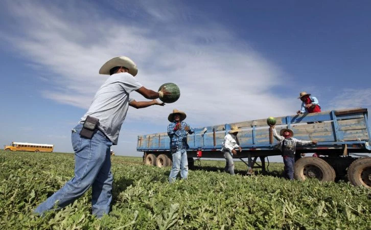 Migrantes mexicanos aportan 8% del PIB de EE.UU.