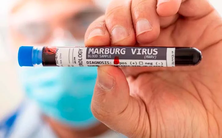 Emite OMS alerta por brote mortal de virus Marburgo en África