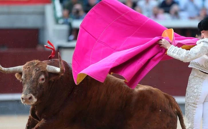 CDMX aprueba corridas de toros sin violencia