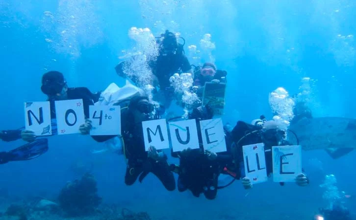 Activistas protestan bajo el agua contra construcción de muelle en Cozumel