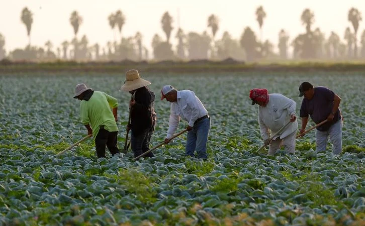 Deportación masiva amenaza a industrias clave en EE. UU.