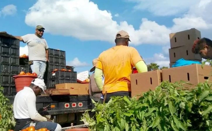 México debe priorizar empleos y producción de alimentos para frenar migración ilegal: Álvaro López Ríos
