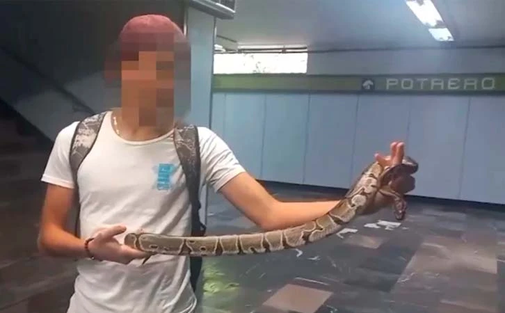 Detienen a joven con una serpiente en el Metro de CDMX