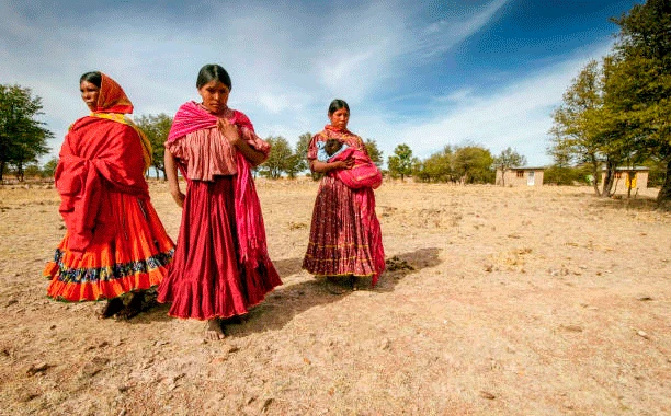 Indígenas, principales fallecidos por el sarampión en Chihuahua