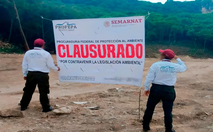 Sin autorización, devastan selva en Tuxtla Gutiérrez, Chiapas