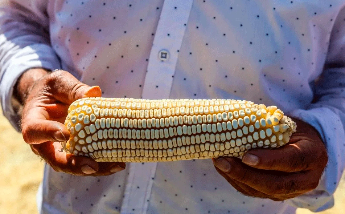 Políticamente apreciable, pero económicamente incorrecto