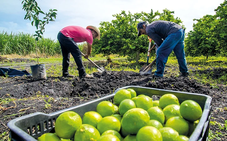 Siete años de abandono del campo mexicano