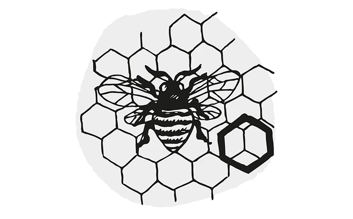 Pappus y el problema isoperimétrico de las abejas