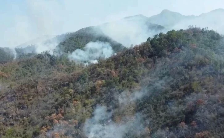 Reportan 24 incendios forestales activos en ocho estados