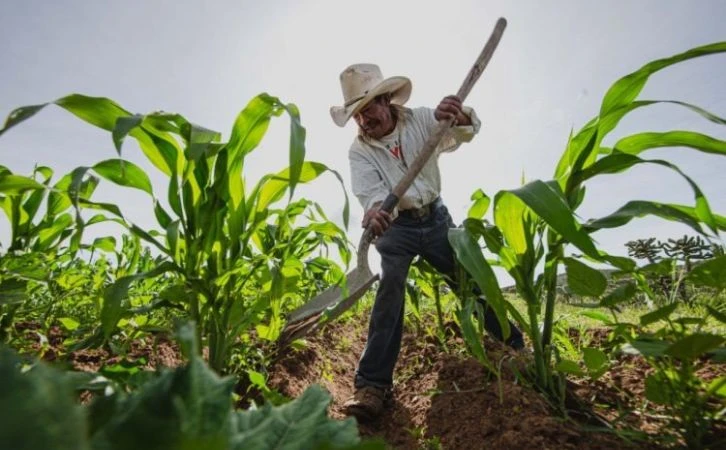 Agricultores advierten protestas durante el Mundial 2026: denuncian falta de apoyos
