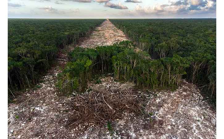Los beneficiarios del Tren Maya