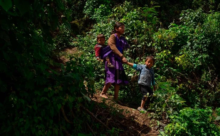 Tres de cada diez mexicanos siguen en pobreza: Inegi